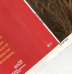 Detailansicht Spine unten