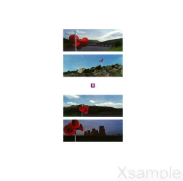 Innersleeve | Vorderseite.