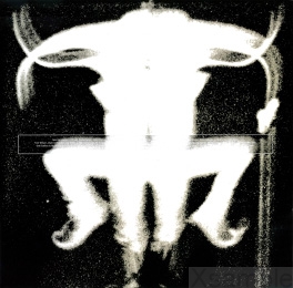 Innersleeve | Rückseite.