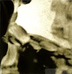 Booklet | Vorderseite Bild 2 rechts unten