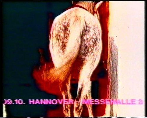 Screenshot 2 | Video