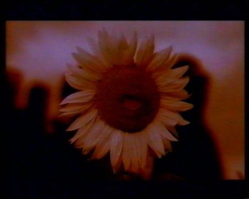 Screenshot 2 | Condemnation (Studioversion)