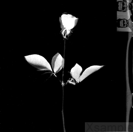 Booklet Innen | Seite  1