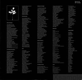 Innersleeve | Rückseite.