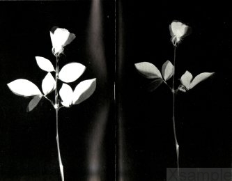 Booklet Innen | Seite  1 und 2