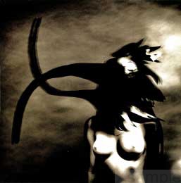 Cover Innenseite rechts.