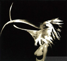 Digipack | Ausseinseite zum einklappen nach innen.